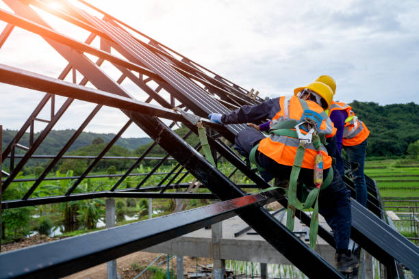 Best Roof Gutter Cleaning  in Junction City, CA