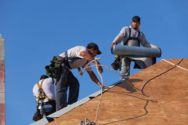 Best Roof Maintenance Services  in Junction City, CA